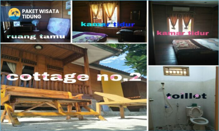 paket9a